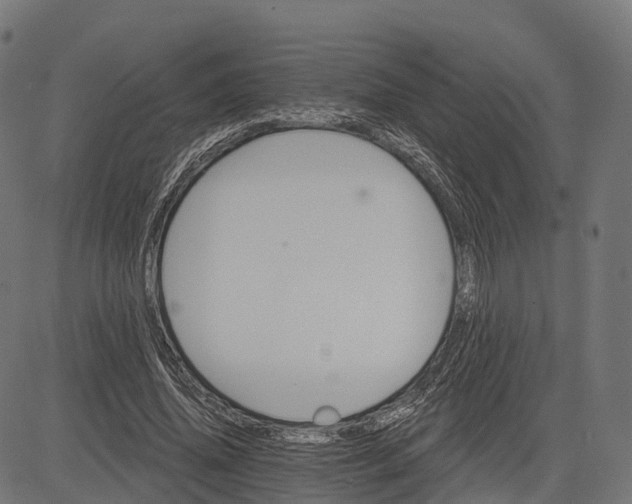 X0000084520636200703091603