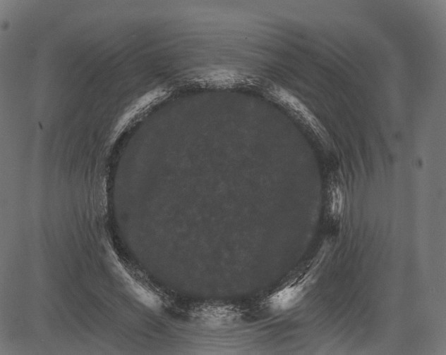 X0000084520638200703091603