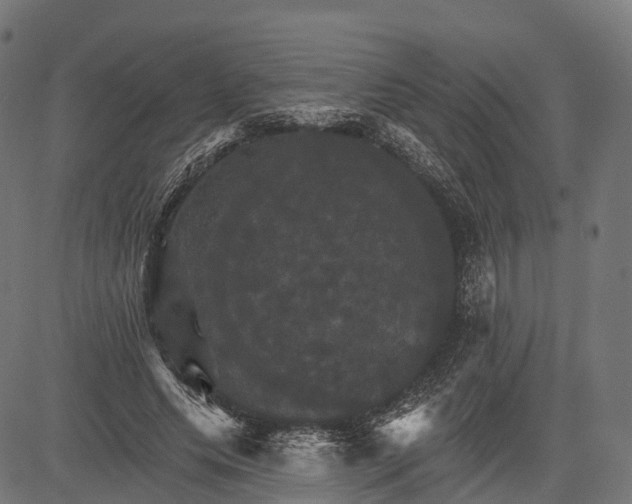 X0000084520639200703091603