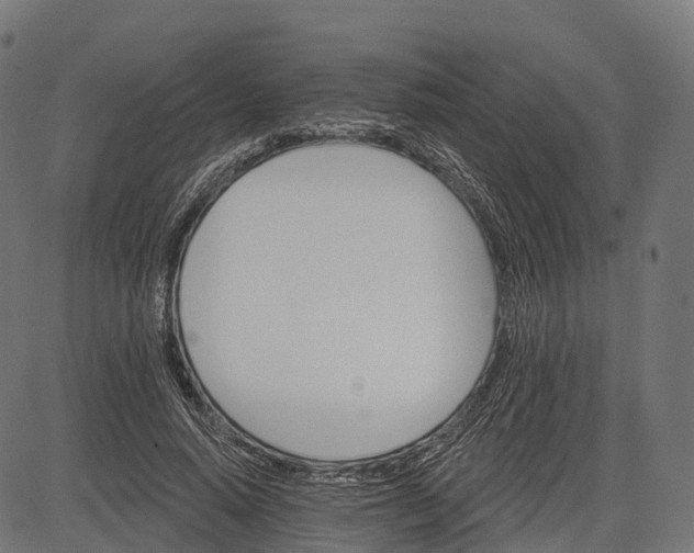 X0000084520640200703091603