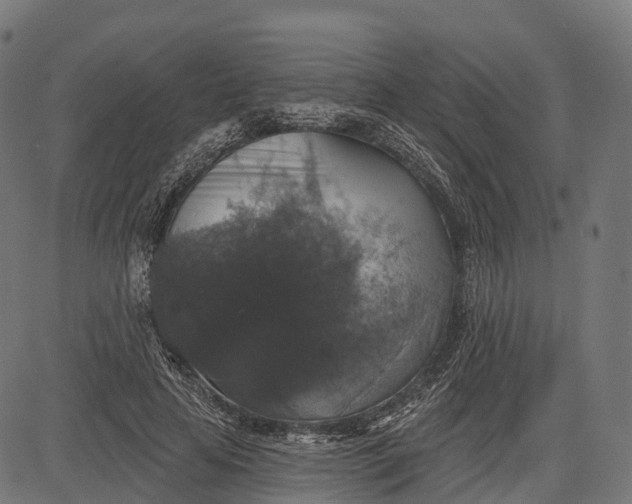 X0000084520641200703091603