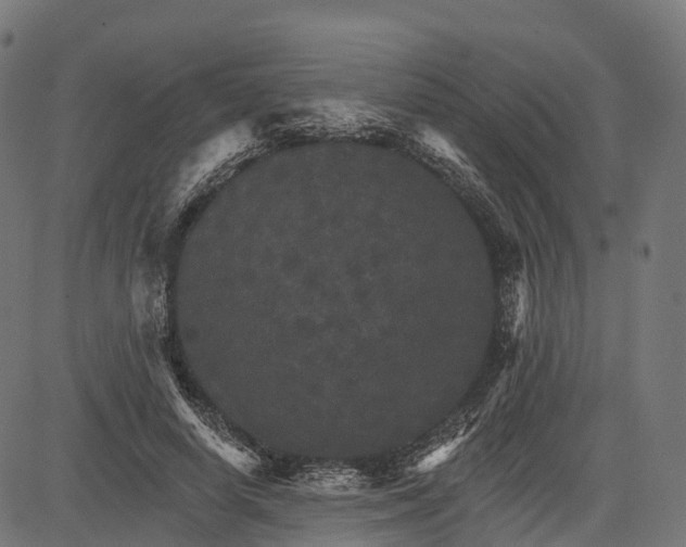 X0000084520642200703091603