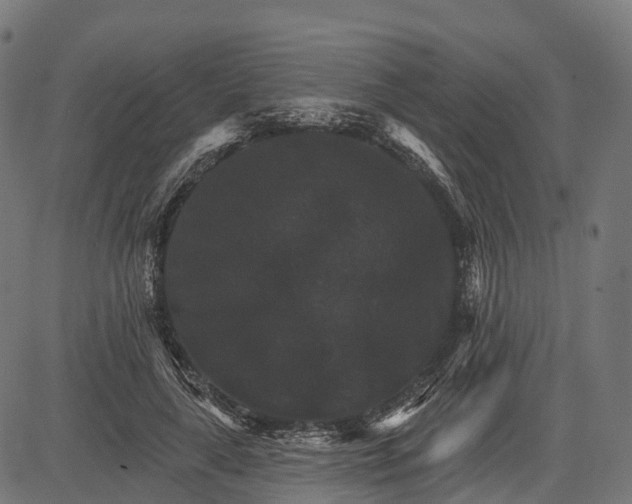 X0000084520643200703091603