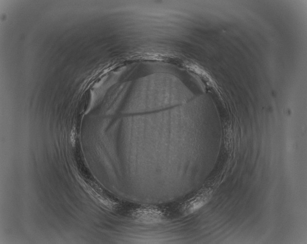 X0000084520644200703091603