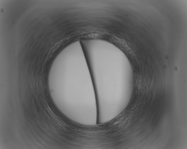 X0000084520645200703091603