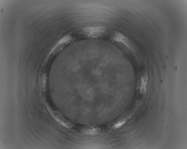 X0000084520646200703091603