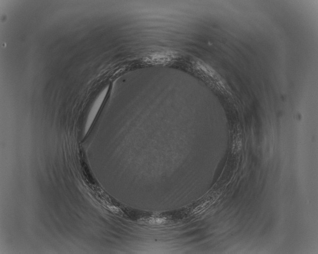 X0000084520647200703091603