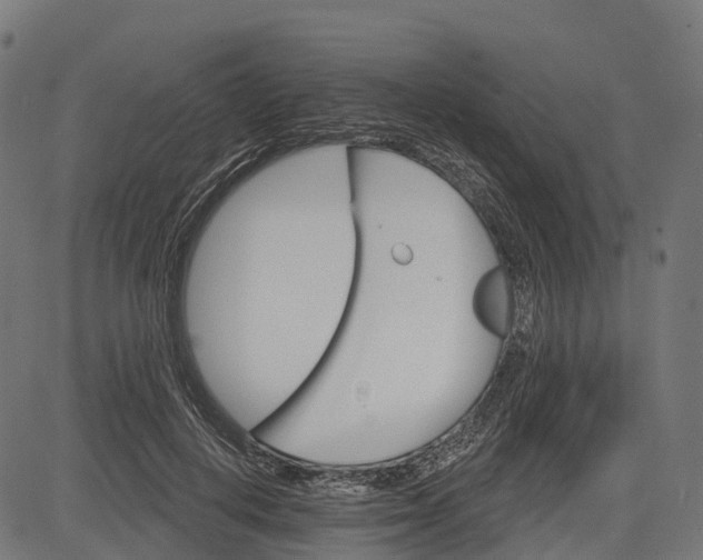 X0000084520648200703091603