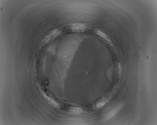 X0000084520649200703091603