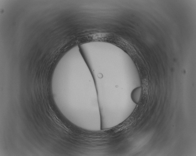 X0000084520650200703091603