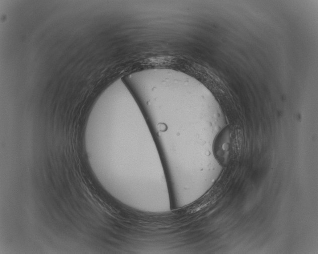 X0000084520651200703091603