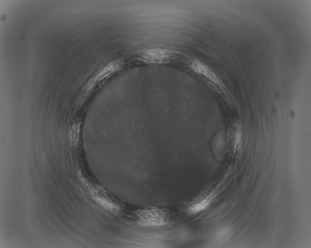 X0000084520652200703091603