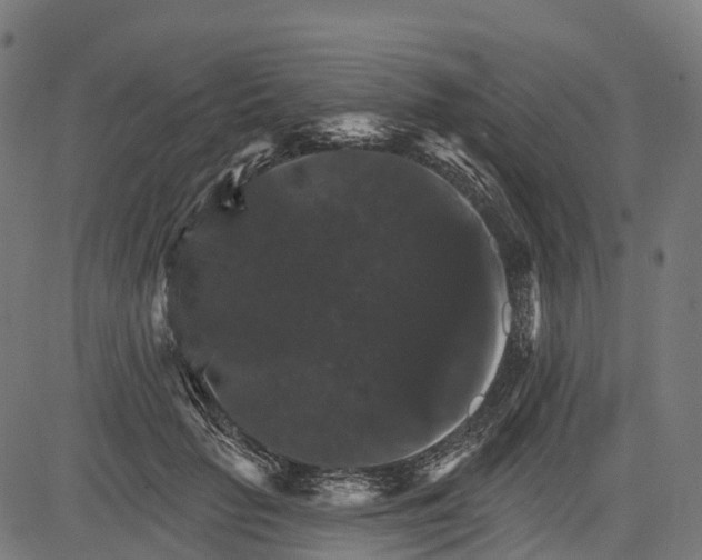 X0000084520653200703091603