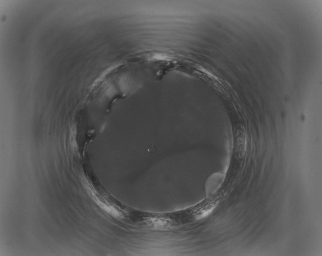 X0000084520654200703091603