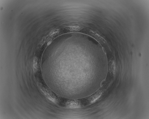 X0000084520655200703091603