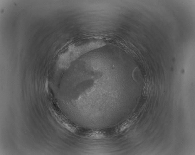 X0000084520656200703091603