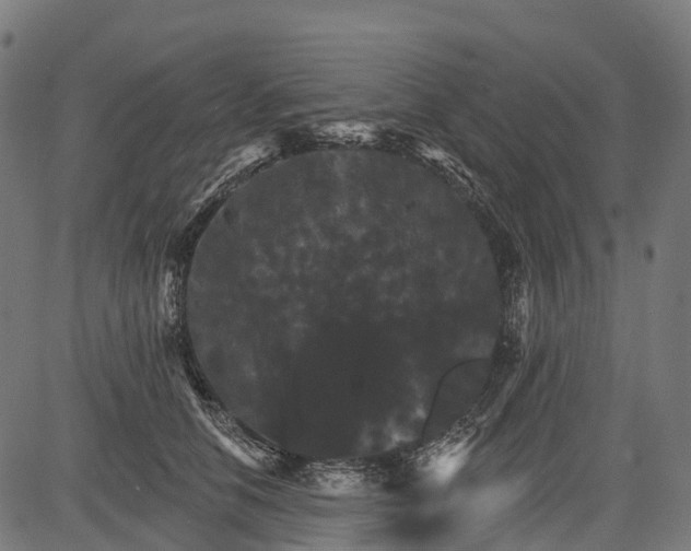 X0000084520658200703091603