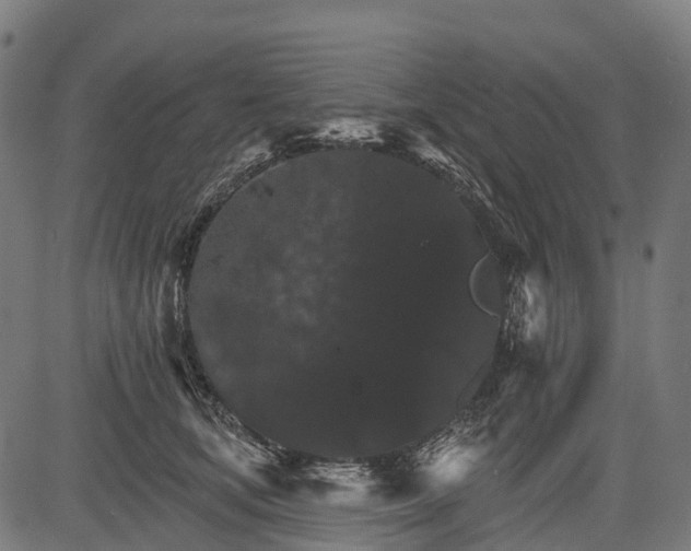 X0000084520659200703091603