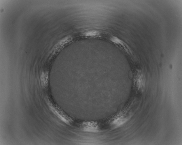 X0000084520660200703091603