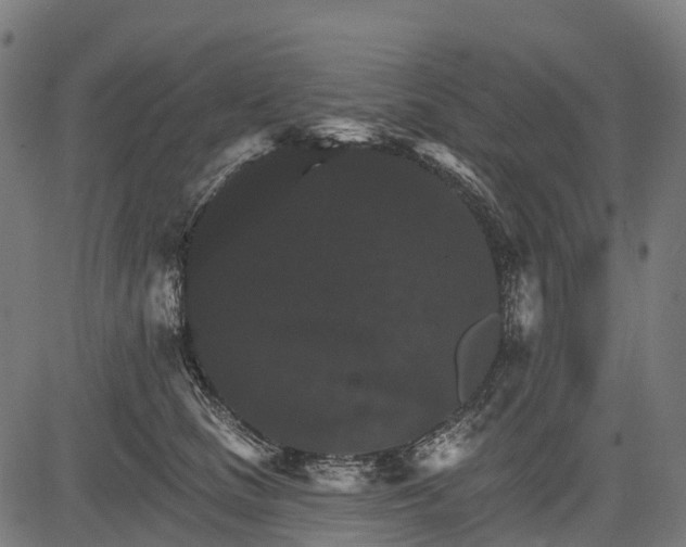 X0000084520661200703091603