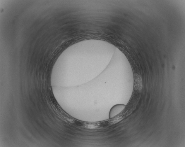 X0000084520662200703091603