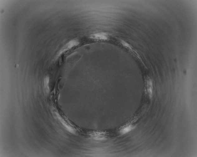 X0000084520664200703091603