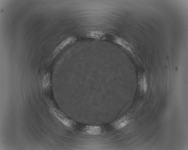 X0000084520665200703091603