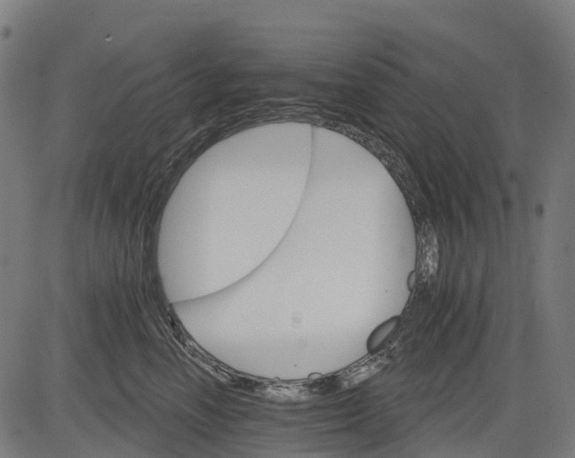 X0000084520666200703091603