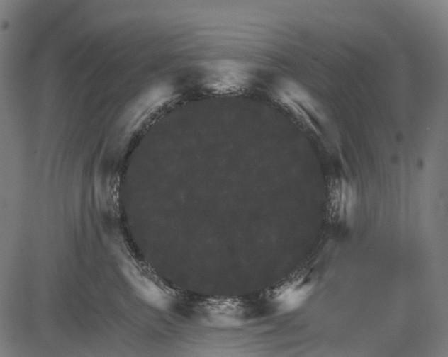 X0000084520667200703091603