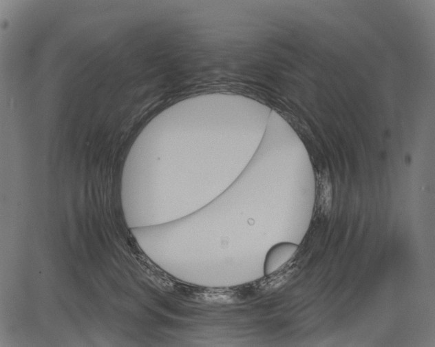 X0000084520668200703091603