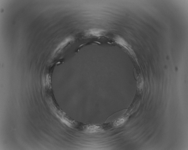 X0000084520669200703091604