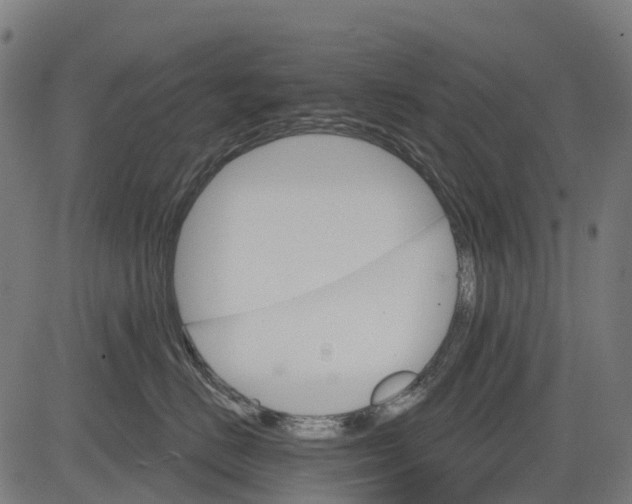 X0000084520670200703091604