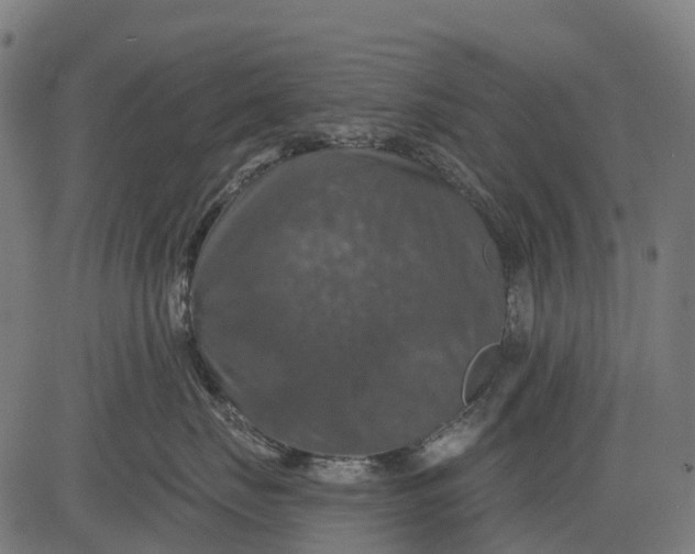 X0000084520671200703091604