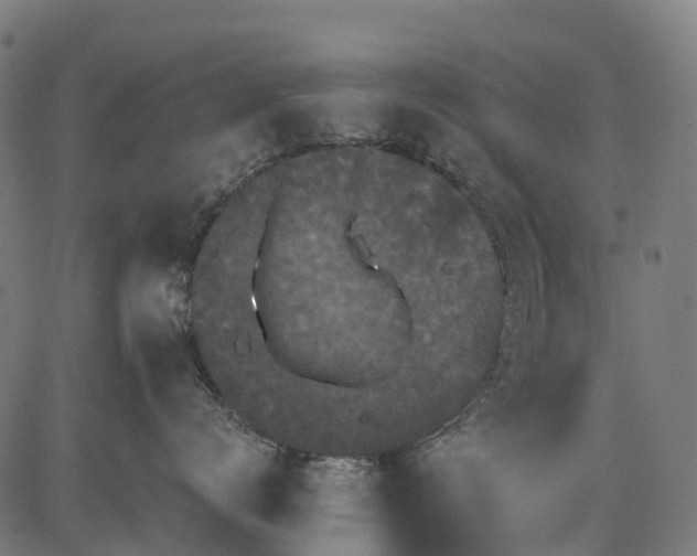 X0000084520672200703091604