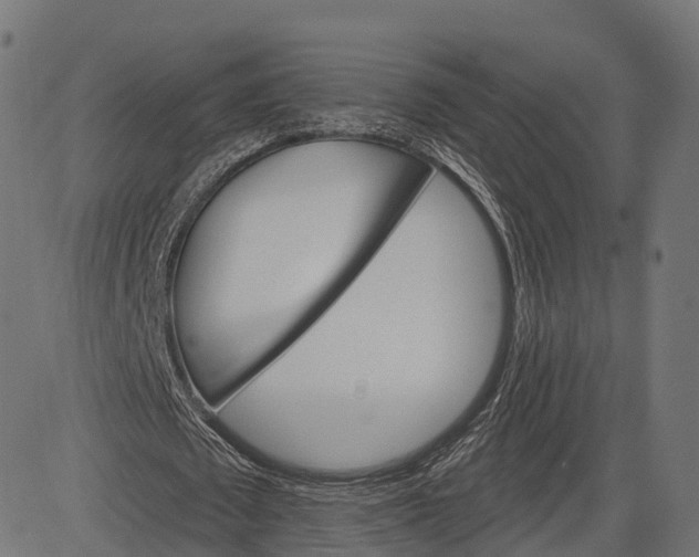 X0000084520673200703091603