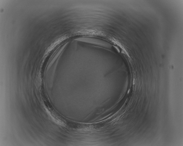 X0000084520674200703091603