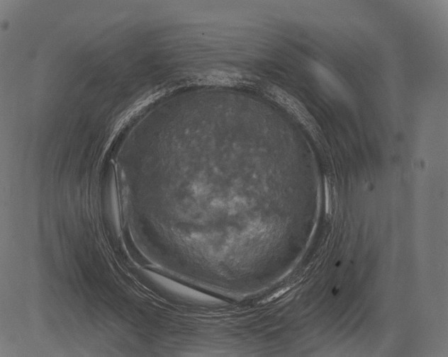 X0000084520675200703091603