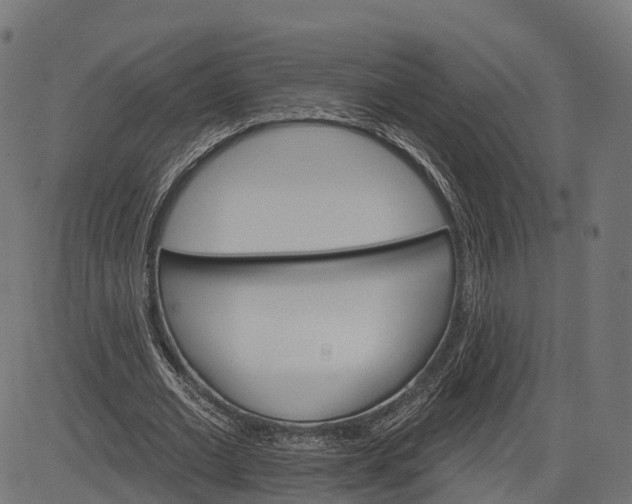 X0000084520677200703091603