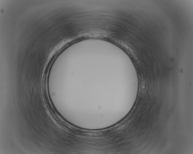 X0000084520678200703091603