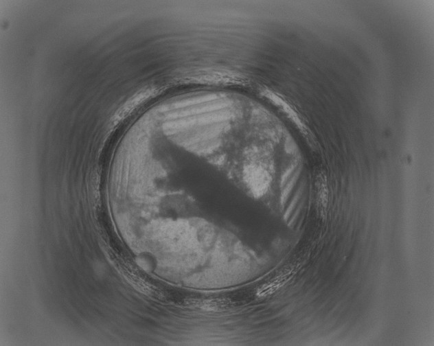 X0000084520679200703091603