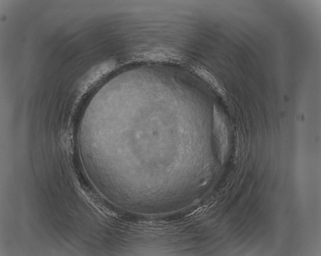 X0000084520680200703091603