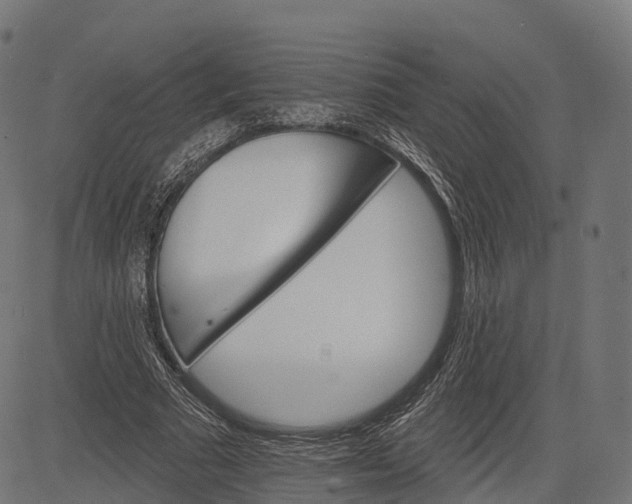 X0000084520681200703091603