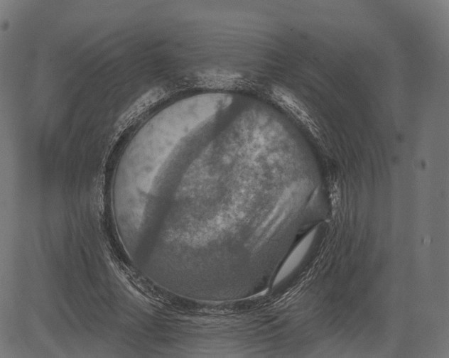 X0000084520682200703091603