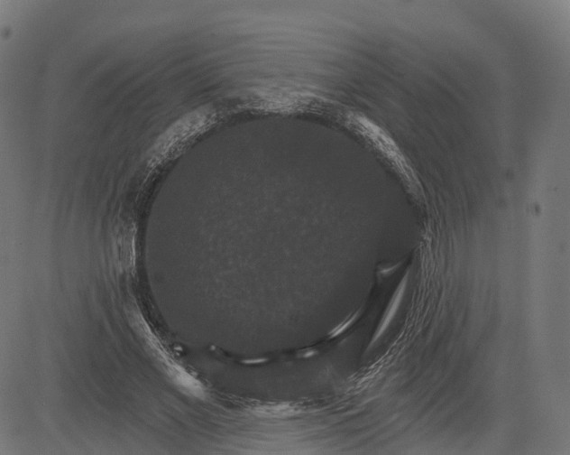 X0000084520685200703091603