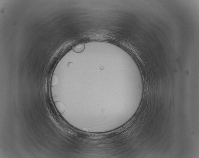 X0000084520686200703091602