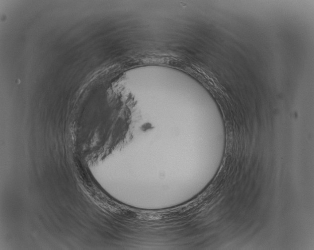 X0000084520687200703091602