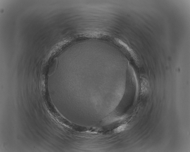 X0000084520688200703091602