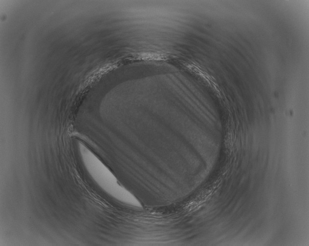 X0000084520689200703091602