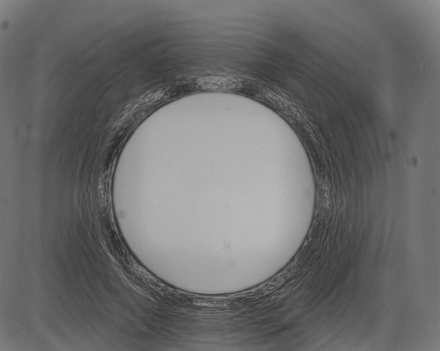 X0000084520690200703091602