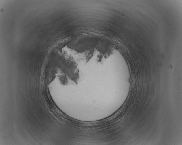 X0000084520691200703091602